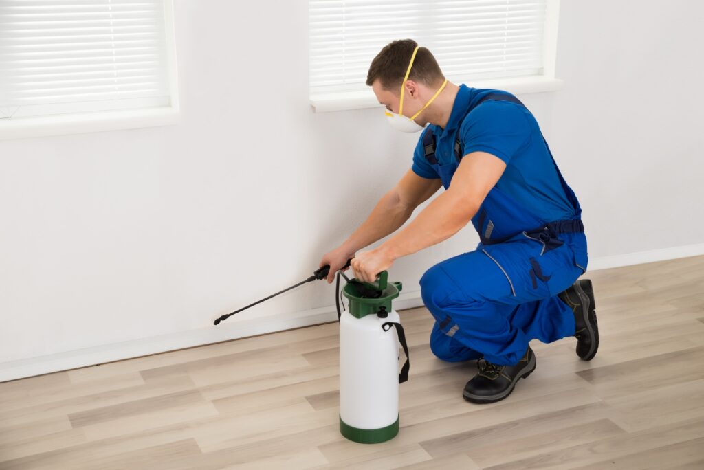 Pest Control Services in Vancouver. Should You Avail Them of?